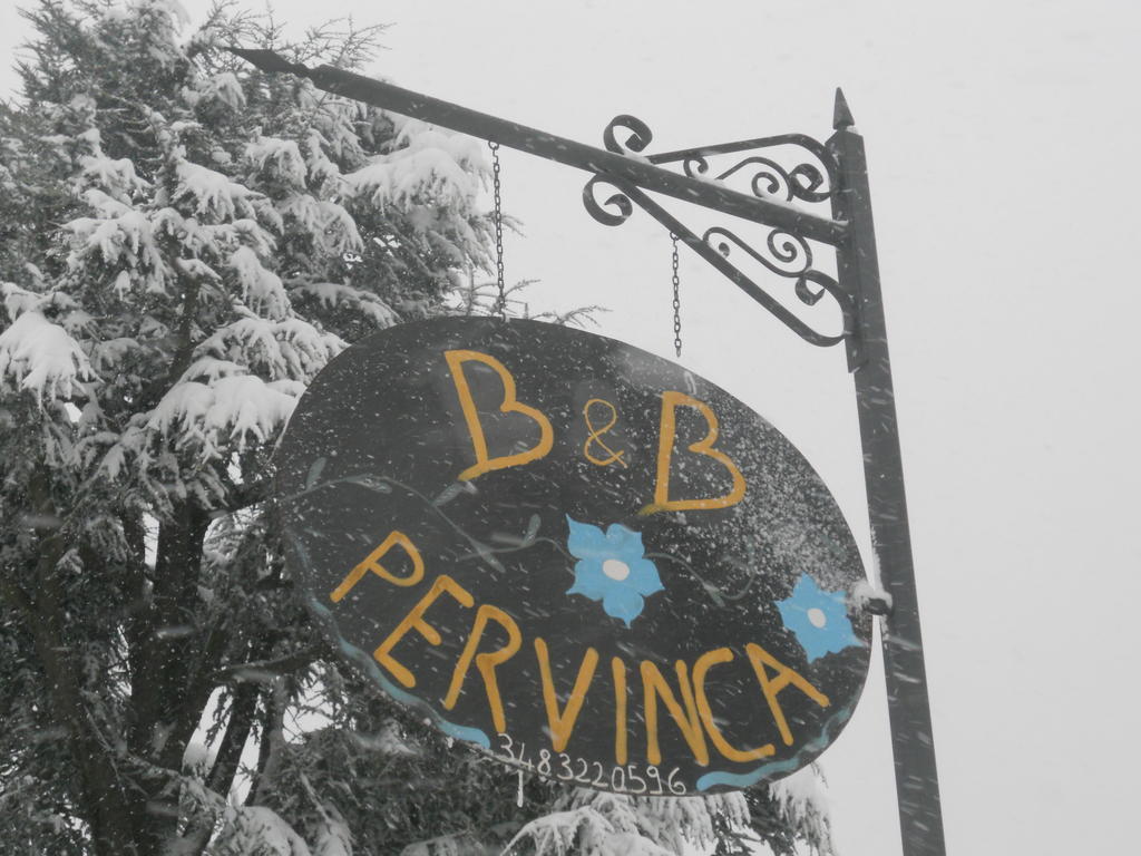 B&B Pervinca Rocca Grimalda Eksteriør bilde