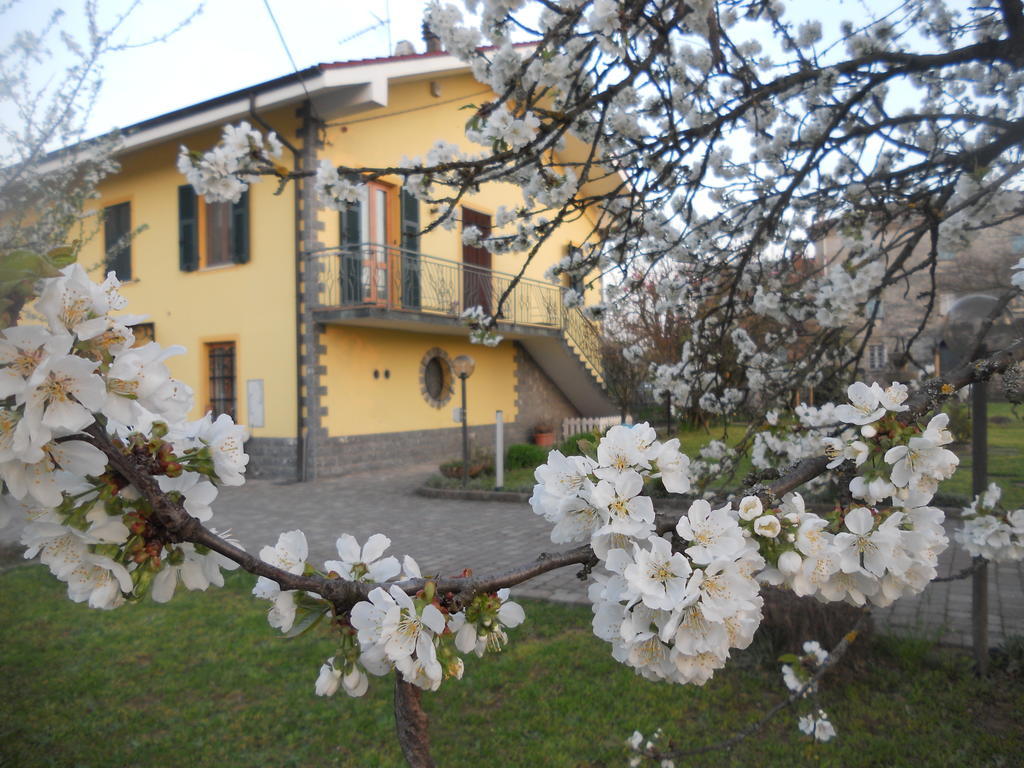 B&B Pervinca Rocca Grimalda Eksteriør bilde